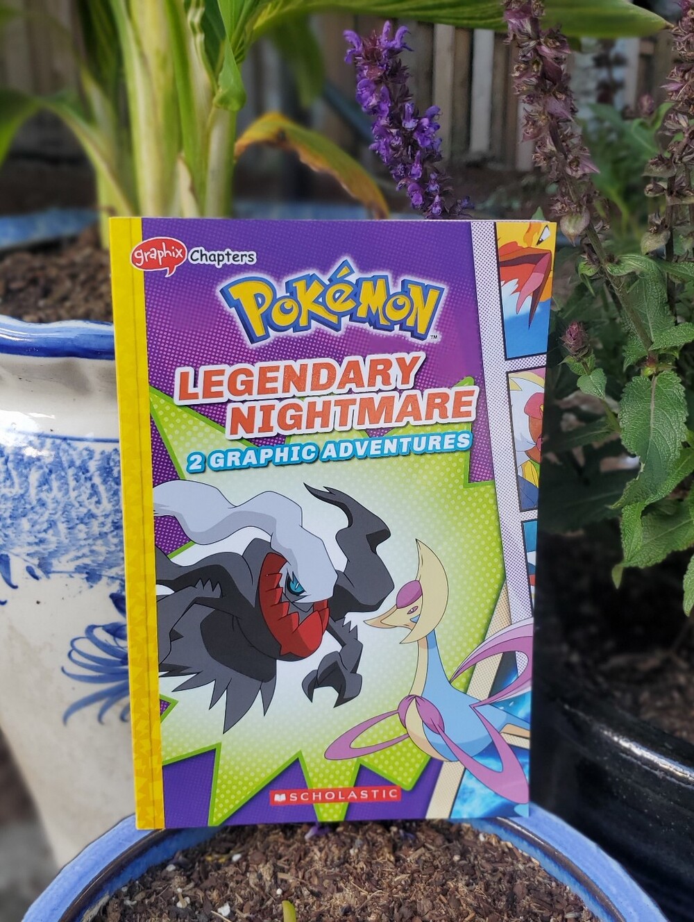 BOGO Pokémon Legendary Nightmare Graphic Novel